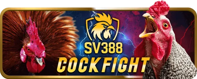 Đồ họa minh họa các loại cookie được e 2 bet sử dụng